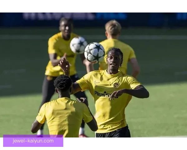 法比尼奥防守端表现稳健，持续为球队提供强大支撑